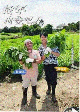 免费观看高清完整电视剧 明星大侦探
